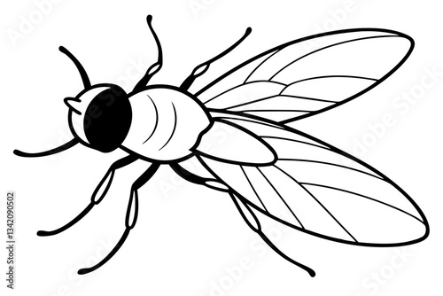 flie line art silhouette vector illustration