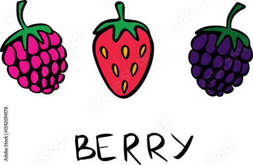 berris raspberry strawberry blackberry doodle set