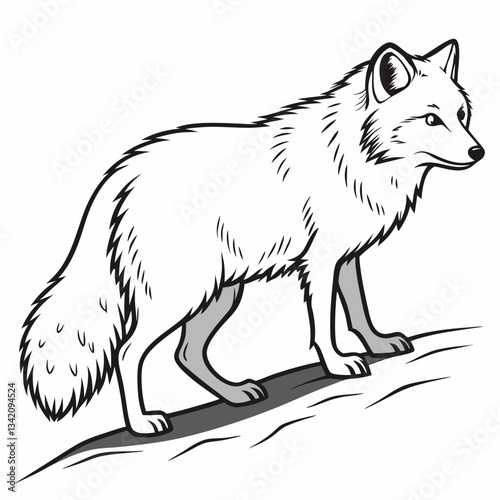 Arctic Fox Contour Illustration: A sleek contour illustration of an arctic fox in its natural habitat, a pristine portrait of wildlife, capturing the essence of the arctic wilderness.
