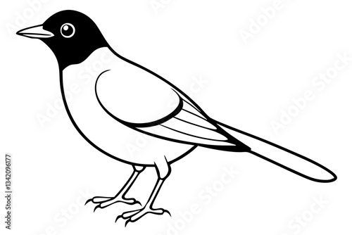 lark bird line art silhouette vector illustration