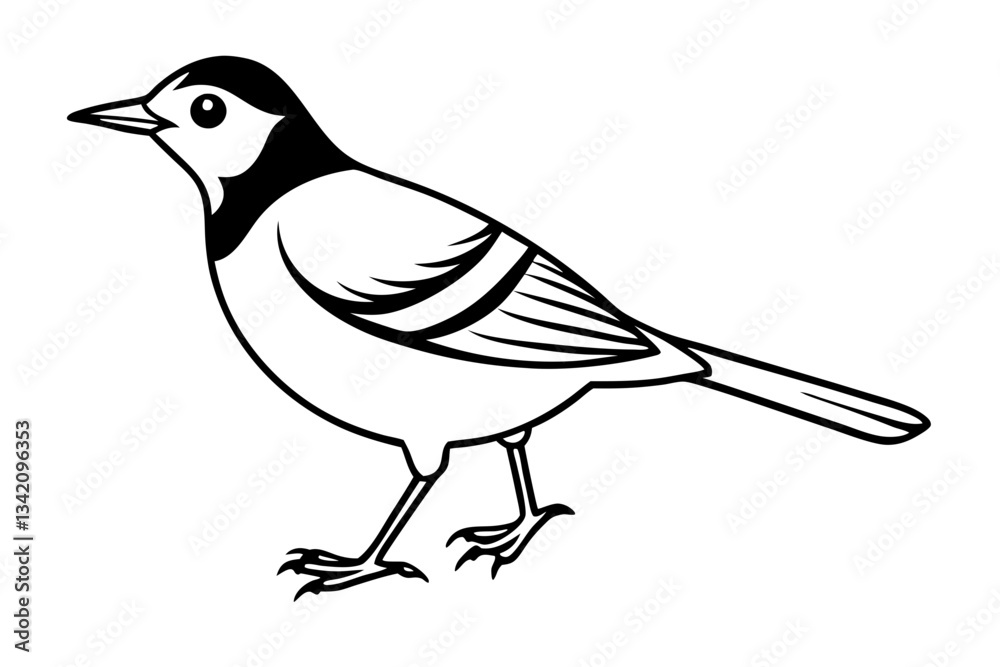 Obraz premium lark bird line art silhouette vector illustration