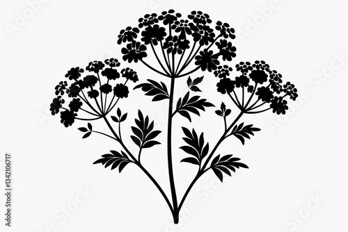 yarrow flower line art silhouette vector illustration