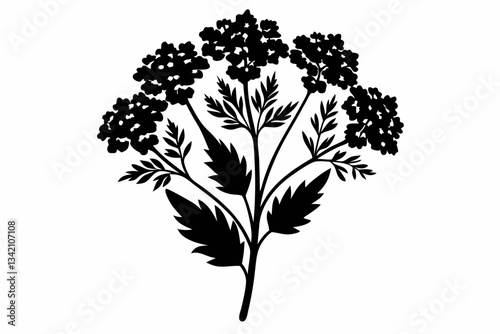 yarrow flower line art silhouette vector illustration
