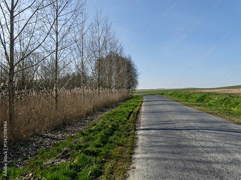 Naklejka premium La Neuville Au Pont, March 2025:hiking in the Argonne and Ardennes forests, surrounded by trees and nature 