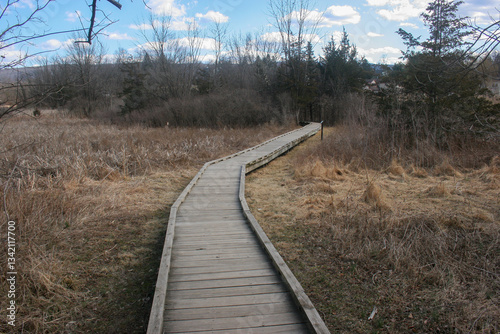 Appalachian trail in New Jersey