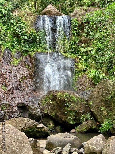 view of a waterfall in the tropical forest of Guadeloupe in the French West Indies with lush vegetation
