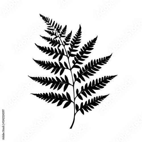 Fern Leaves symbol - black and white & minimalist design for tattoos, logos, vectors - isolated on white background.