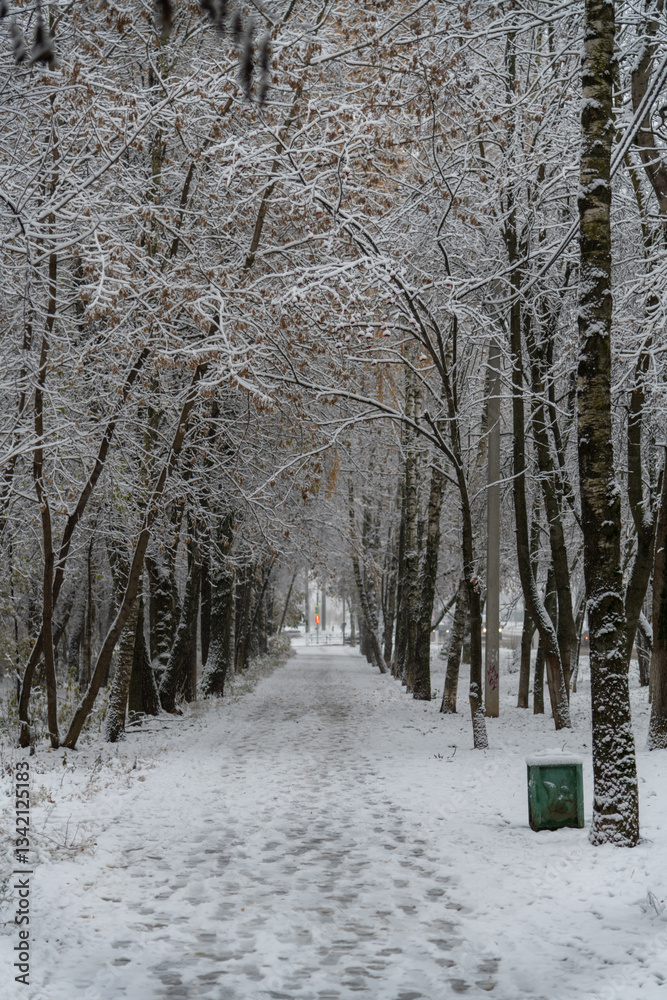 Naklejka premium Winter pathway surrounded by snowy trees in a tranquil setting