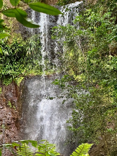 view of a waterfall in the tropical forest of Guadeloupe in the French West Indies with lush vegetation
