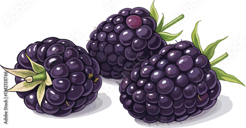 Blackberry in white background Illustration vector design, Blackberry Illustration vector design