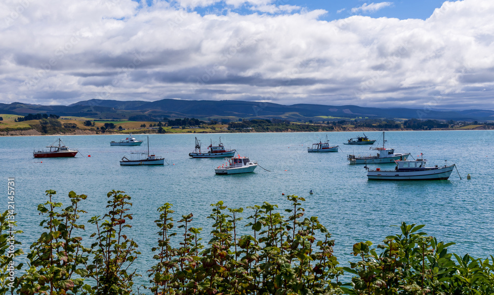 Fototapeta premium Fishing Boats in the Bay of South Island, New Zealand