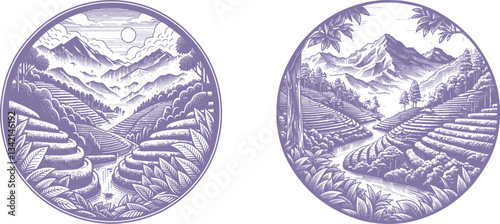 Set of  Scenic old color Tea Plantation on Mountain Landscape with a Serene River Flowing Through – Vintage-Style Artwork Capturing Nature’s Tranquil Beauty Engraving Designs