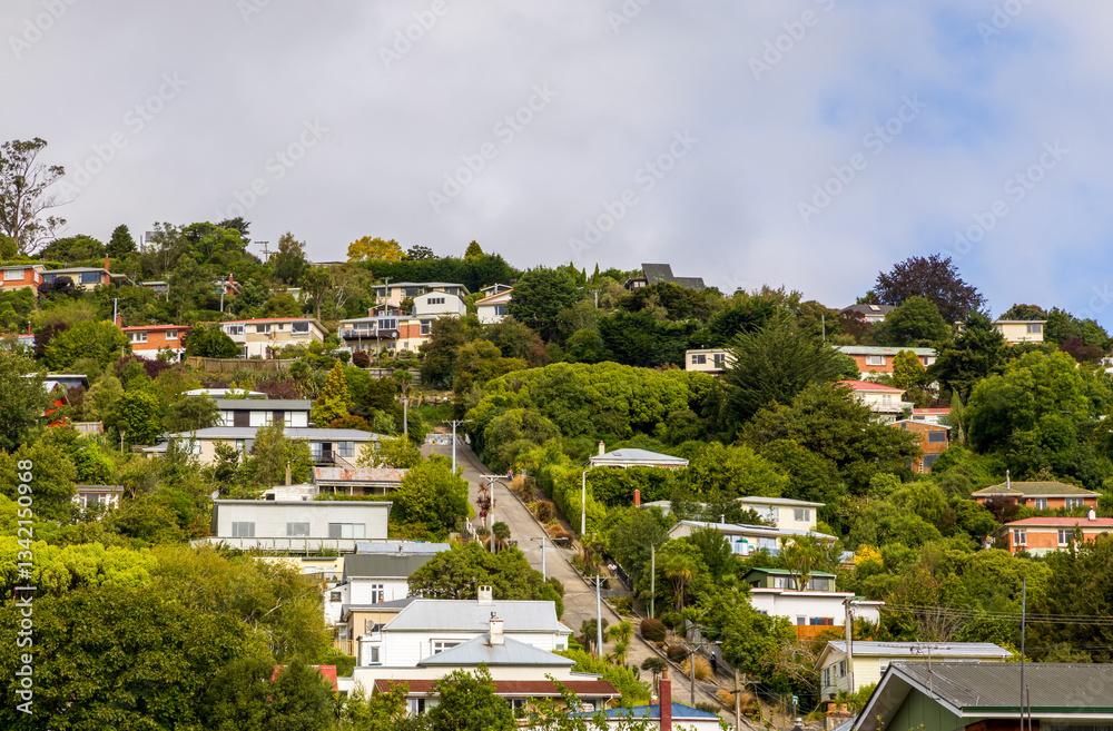 Baldwin street in Dunedin as the worlds steepest street, New Zealand
