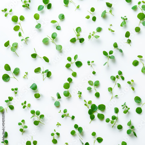 st patrick day background