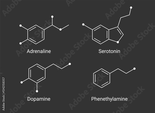 Serotonin, Dopamine, Adrenaline, and Phenethylamine Chemical Structures illustration. Neurotransmitter molecular formula vector. 