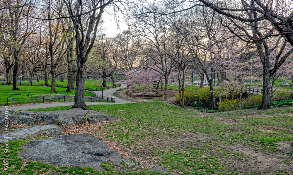 Central Park in spring, early morning