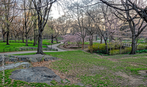 Obraz na płótnie Central Park in spring, early morning w salonie