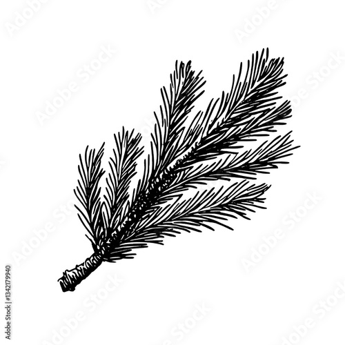 Beautifully engraved illustration of a pine branch showcasing intricate vintage design elements in black and white