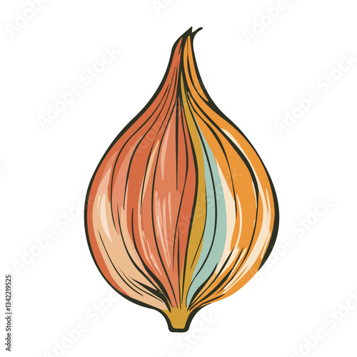 A hand-drawn colorful Onion. Trendy abstract minimal style. Natural fresh. Vector illustration isolated on white background, vector illustration