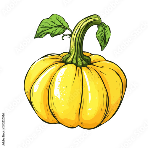 A hand-drawn colorful Pattypan Squash. Trendy abstract minimal style. Natural fresh. Vector illustration isolated on white background, vector illustration