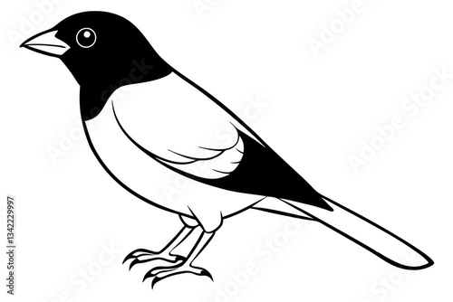 bullfinch line art silhouette vector illustration
