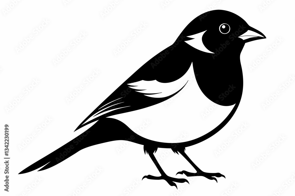 Naklejka premium bullfinch line art silhouette vector illustration