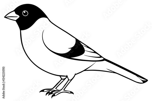 bullfinch line art silhouette vector illustration