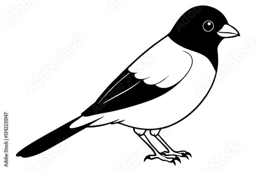 bullfinch line art silhouette vector illustration