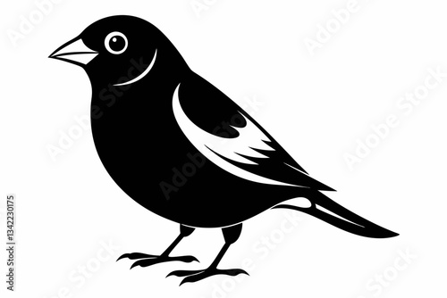 bullfinch line art silhouette vector illustration