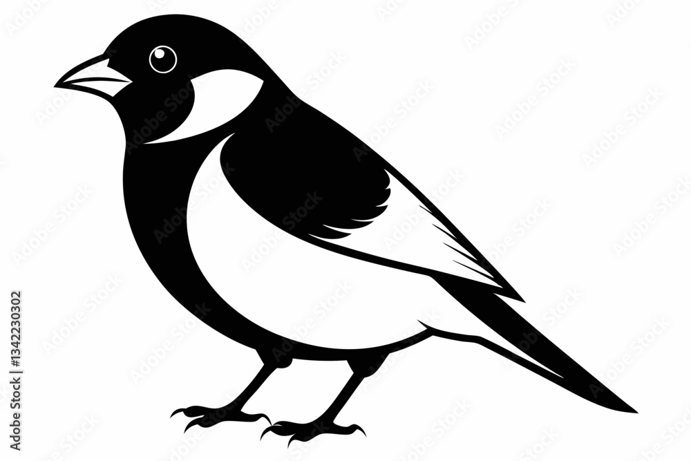Obraz premium bullfinch line art silhouette vector illustration