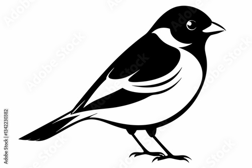 bullfinch line art silhouette vector illustration