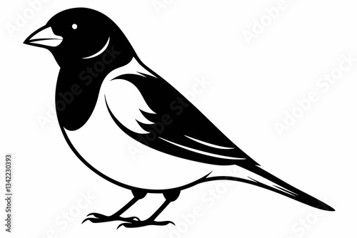 bullfinch line art silhouette vector illustration