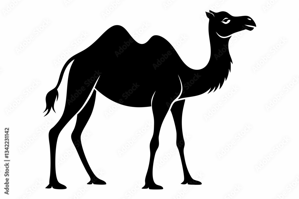 Fototapeta premium dromedary camel line art silhouette vector illustration