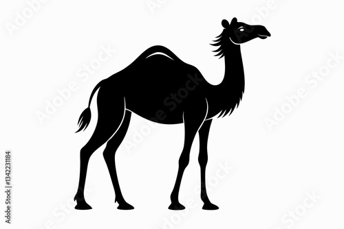 dromedary camel line art silhouette vector illustration