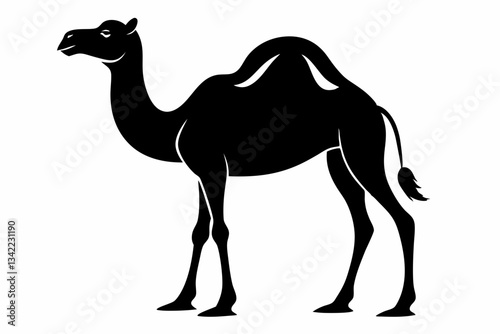 dromedary camel line art silhouette vector illustration