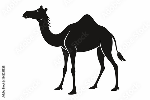 dromedary camel line art silhouette vector illustration