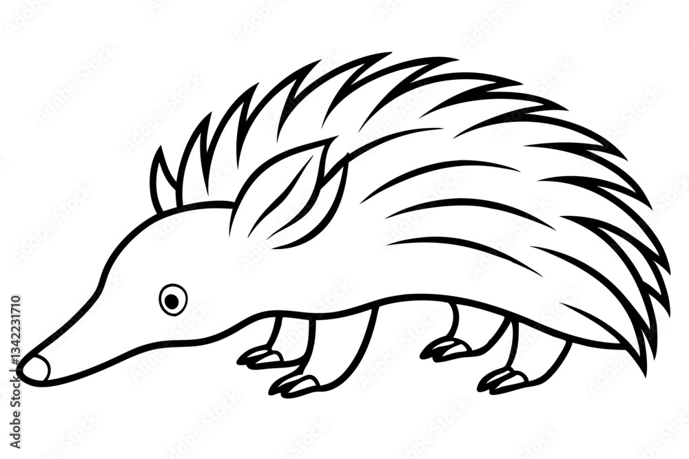 Fototapeta premium echidna line art silhouette vector illustration