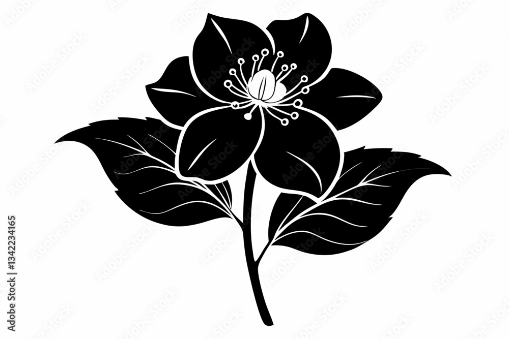 Obraz premium hellebore flower line art silhouette vector illustration