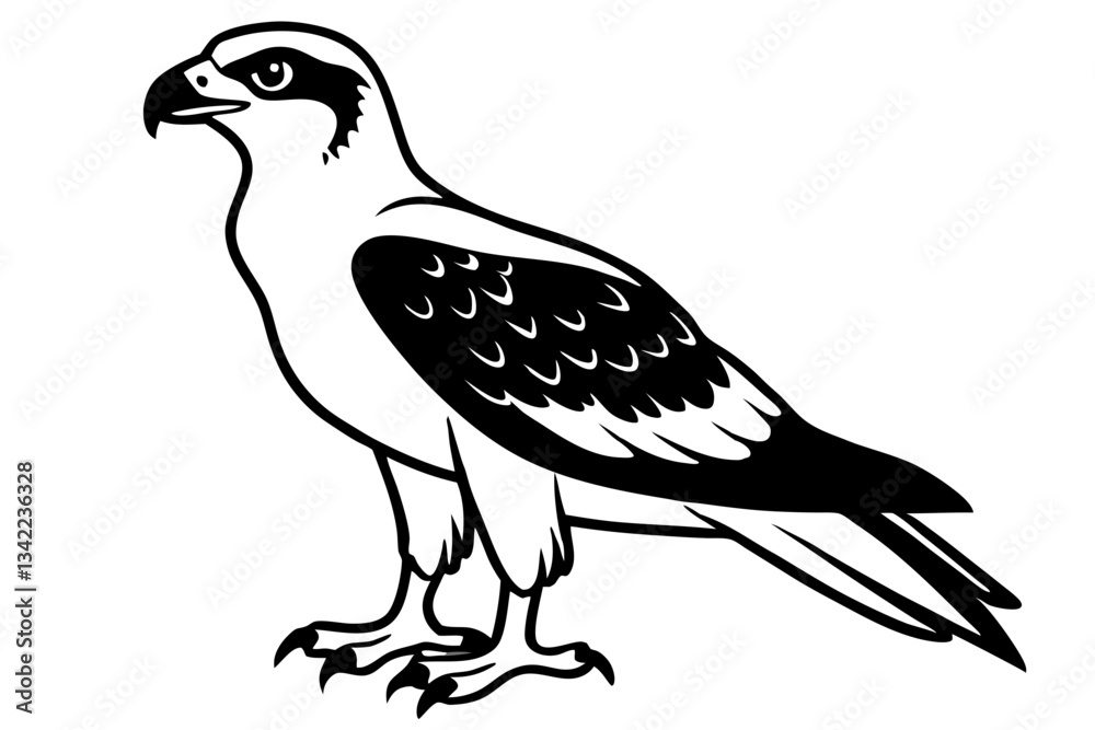 Fototapeta premium osprey line art silhouette vector illustration