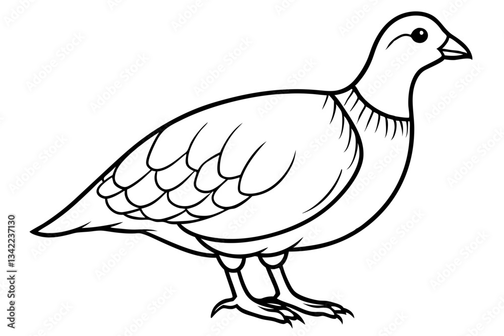 Fototapeta premium partridge line art silhouette vector illustration