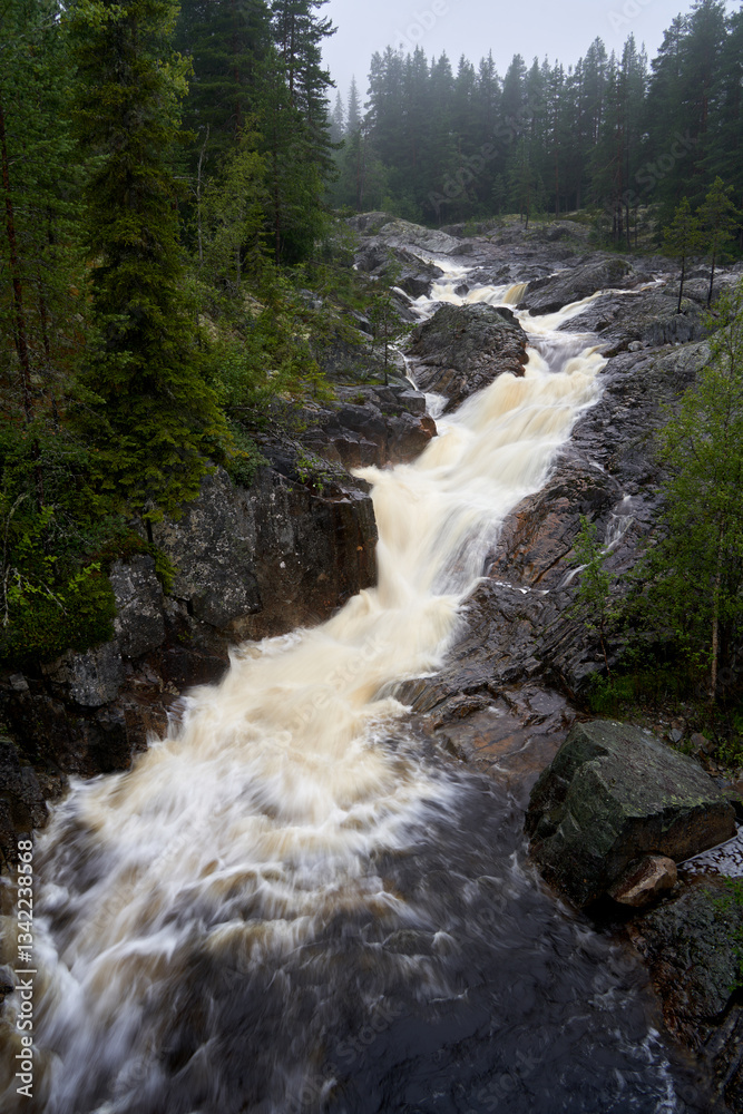 Fototapeta premium Rapid Mountain River in Pine Forest, Nesbyen, Norway