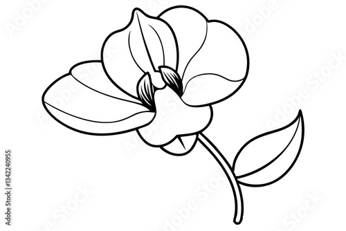 sweet pea flower line art silhouette vector illustration