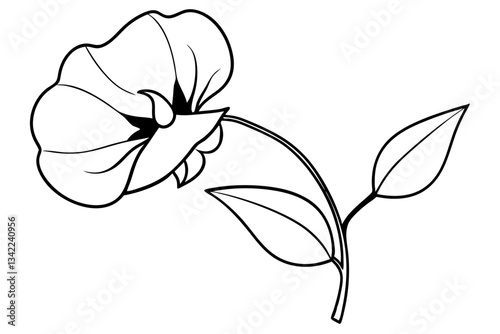 sweet pea flower line art silhouette vector illustration