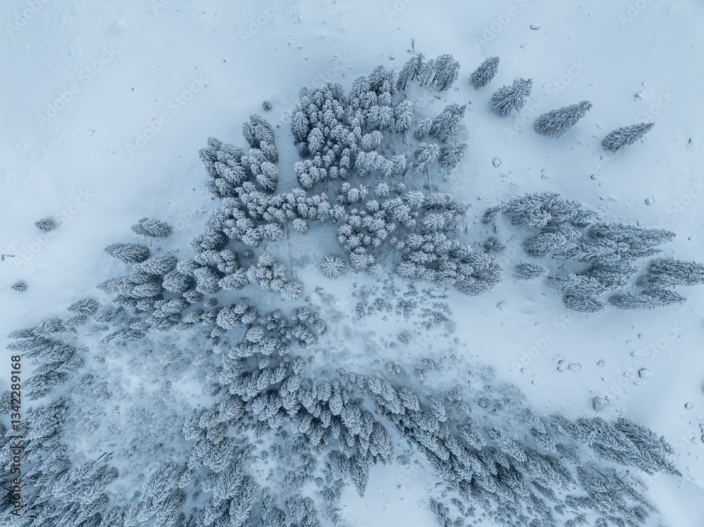 Aerial view of snow covered fir trees in mountain landscape in winter time. Cold season forest.
