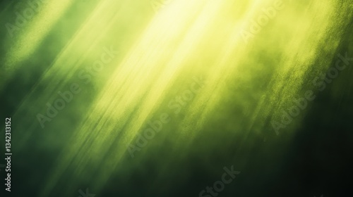 Soft Green Light Rays Shining Through Foggy Atmosphere in Nature