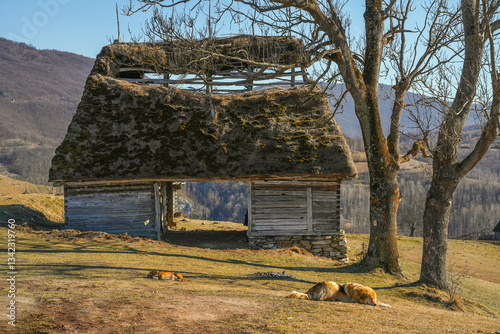 Image of a traditional house from Motilor country in Apuseni mountains, Transylvania, Romania, Europe photo