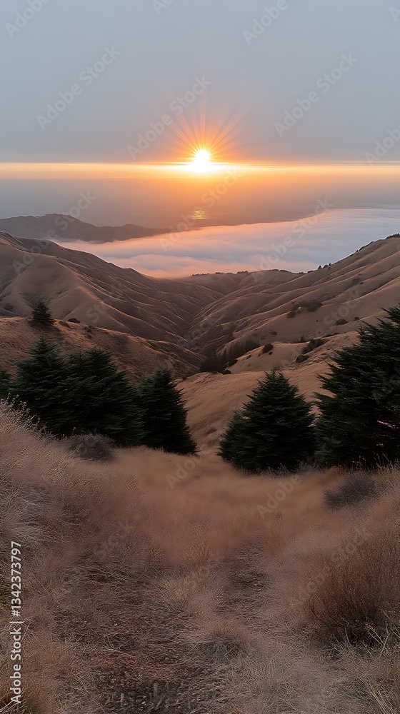Fototapeta premium Golden Sunset Over Misty Valley.