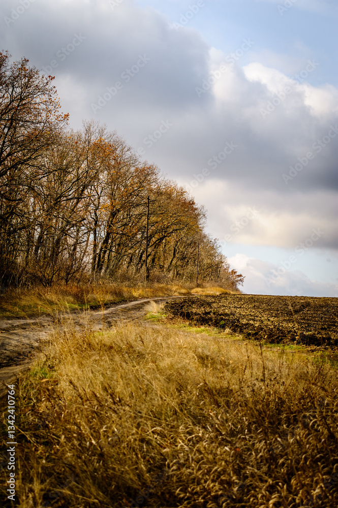 Fototapeta premium empty agricultural field with leafless trees growing on the side against the backdrop of a sunset stormy sky