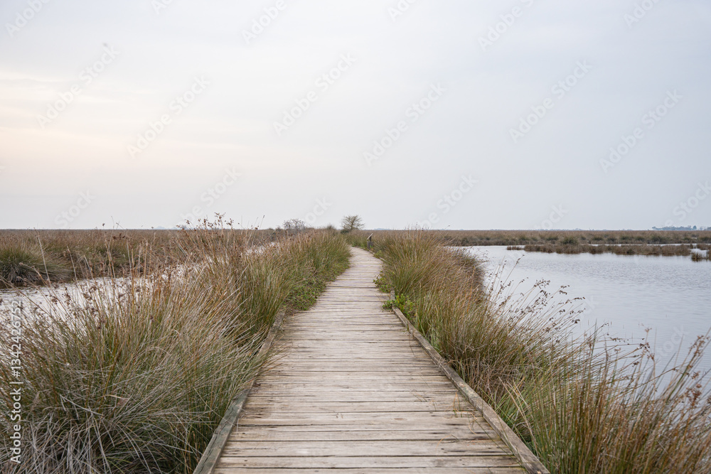 Obraz premium Wooden boardwalk through marsh with tall grasses and water under overcast sky. Wooden path in wetland in Kizilirmak Delta Bird Paradise, Samsun, Turkey