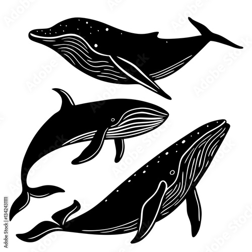 vector illustration of  sharks